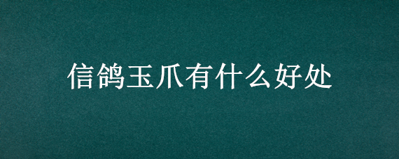 信鸽玉爪有什么好处（玉爪信鸽好不好）