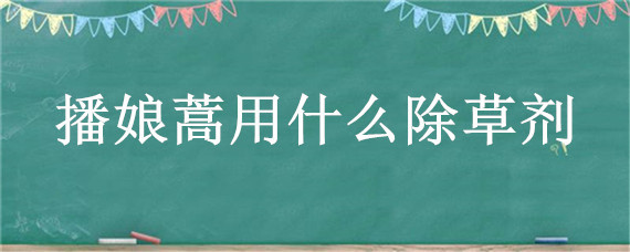 播娘蒿用什么除草劑 播娘蒿用什么藥治好