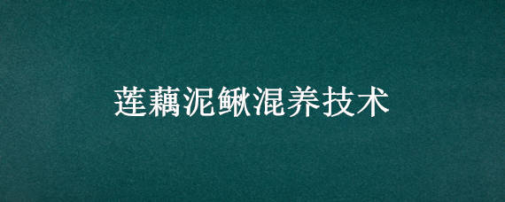 莲藕泥鳅混养技术（莲藕和泥鳅混养殖）