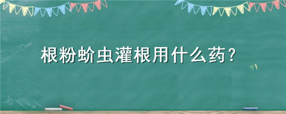 根粉蚧虫灌根用什么药（根灌蚧虫清）