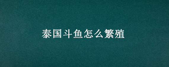 泰国斗鱼怎么繁殖（泰国斗鱼怎么繁殖 百度网盘）