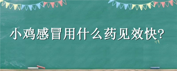 小鸡感冒用什么药见效快 小鸡感冒怎么治疗最快