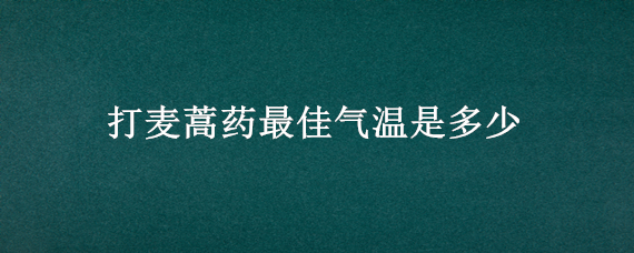 打麦蒿药最佳气温是多少（什么时候打麦蒿最好）