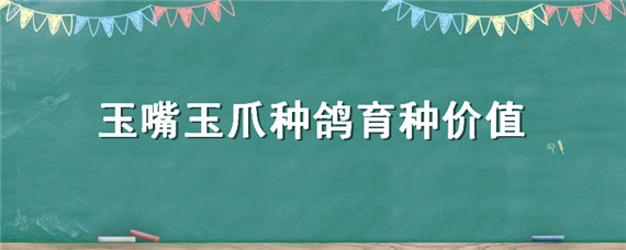 玉嘴玉爪种鸽育种价值（玉爪赛鸽做种价值）