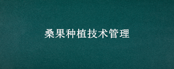 桑果种植技术管理（桑果栽培技术）