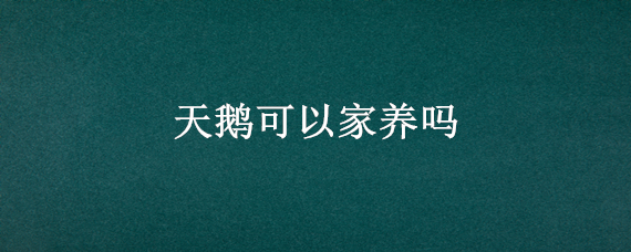 天鵝可以家養(yǎng)嗎（白天鵝可以家養(yǎng)嗎）