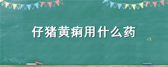 仔猪黄痢用什么药（仔猪黄痢用什么药治疗）