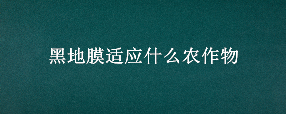 黑地膜适应什么农作物 夏季用黑地膜覆盖对农作物的影响