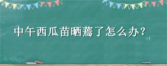 中午西瓜苗曬蔫了怎么辦（西瓜苗打蔫了怎么辦）