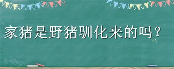 家猪是野猪驯化来的吗（家猪是野猪进化的吗）