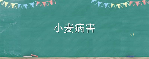 小麦病害 小麦病害有哪些主要类型