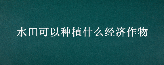 水田可以种植什么经济作物 水田农作物有什么