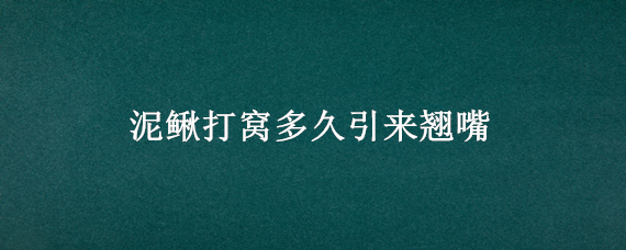 泥鰍打窩多久引來(lái)翹嘴（怎樣用泥鰍打窩引來(lái)翹嘴白天效果好不好）