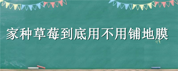 家种草莓到底用不用铺地膜（种草莓怎么铺地膜）