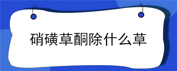 硝磺草酮除什么草 硝磺草酮除草范围