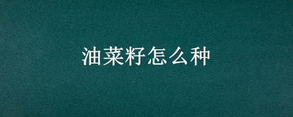 油菜籽怎么種 油菜籽怎么種出苗快