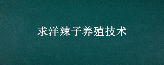 求洋辣子养殖技术（洋辣子人工养殖视频）