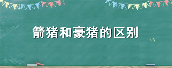 箭猪和豪猪的区别（豪猪和刺猪的区别）