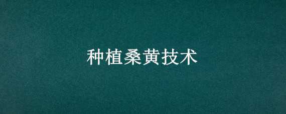 种植桑黄技术 种植桑黄技术要点