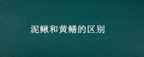 泥鳅和黄鳝的区别 泥鳅和黄鳝的区别可以一起吃吗