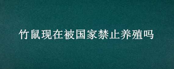 竹鼠现在被国家禁止养殖吗 竹鼠允许养殖吗