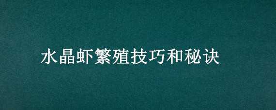 水晶虾繁殖技巧和秘诀 水晶虾繁殖技巧和秘诀图解