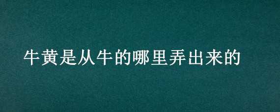 牛黃是從牛的哪里弄出來的 牛黃是從牛的哪里弄出來的圖片