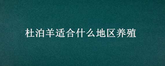 杜泊羊适合什么地区养殖（杜泊羊适合在哪里养殖）