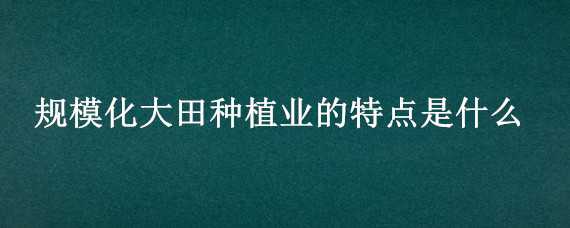 規(guī)?；筇锓N植業(yè)的特點(diǎn)是什么（規(guī)?；筇锓N植業(yè)的特點(diǎn)是什么 大田作物）