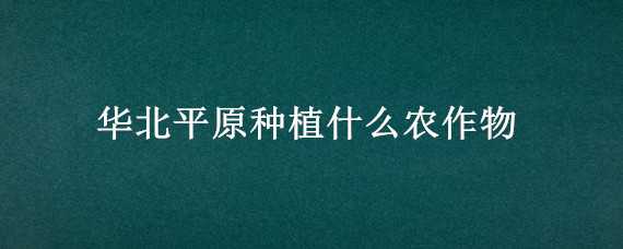 華北平原種植什么農(nóng)作物 華北平原主要種植什么農(nóng)作物