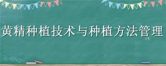 黃精種植技術(shù)與種植方法管理（黃精的生長(zhǎng)環(huán)境及種植技術(shù)）