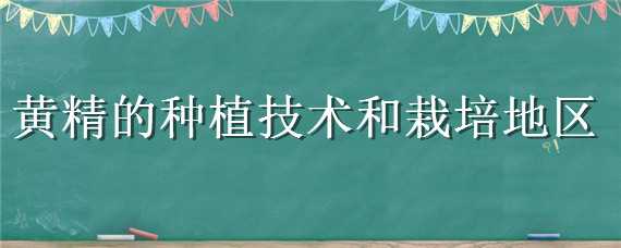 黄精的种植技术和栽培地区（黄精种植条件和技术）