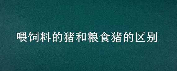 喂饲料的猪和粮食猪的区别 饲料猪与粮食猪的区别