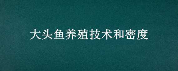 大頭魚養(yǎng)殖技術(shù)和密度 大頭魚的養(yǎng)殖密度