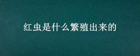 红虫是什么繁殖出来的（红虫本身繁殖吗）