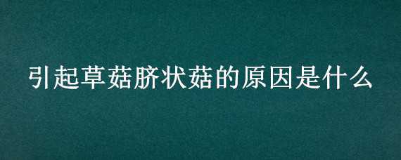 引起草菇脐状菇的原因是什么 产生脐状菇的原因是