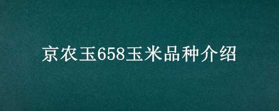 京农玉658玉米品种介绍（京农玉658玉米种特征）