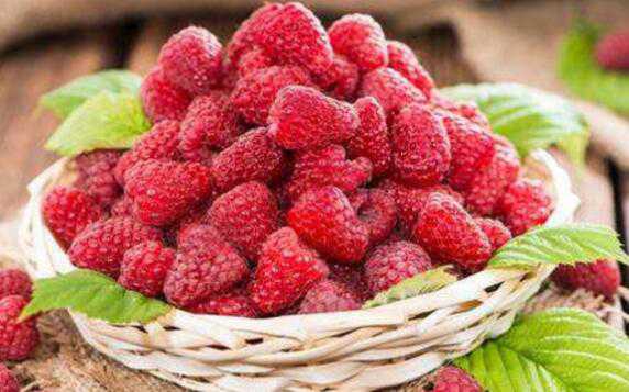 树莓和覆盆子的区别 树莓和覆盆子的区别孕妇可以吃吗