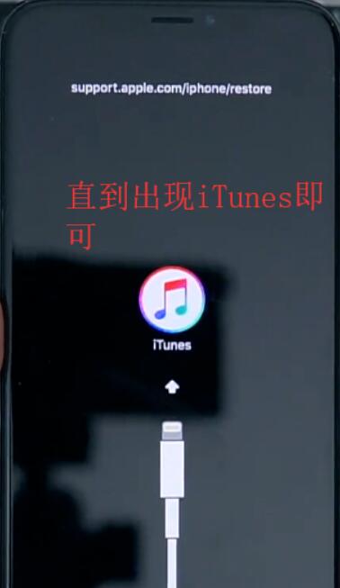 iPhonex怎么進(jìn)入itunes模式