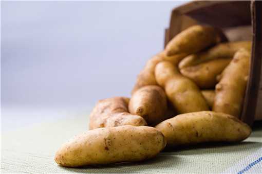 发芽的马铃薯含有什么毒素（发芽的马铃薯含有什么毒素是几年级的知识）