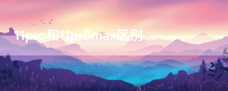 11pro和11promax區(qū)別