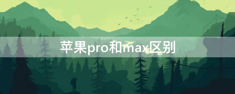 iPhonepro和max区别