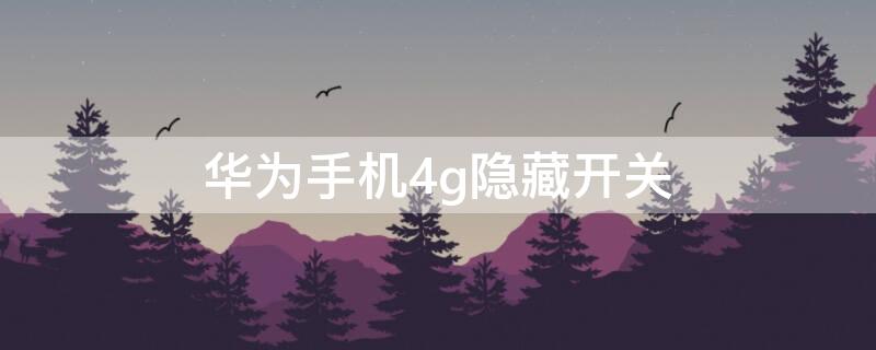 华为手机4g隐藏开关