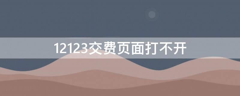 12123交費(fèi)頁面打不開