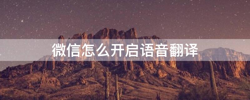 微信怎么開啟語(yǔ)音翻譯