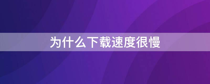 为什么下载速度很慢