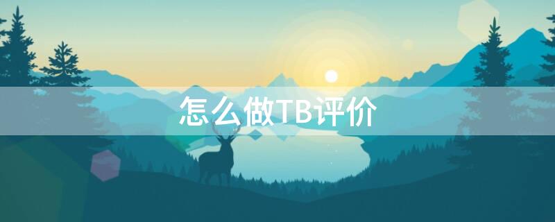 怎么做TB评价