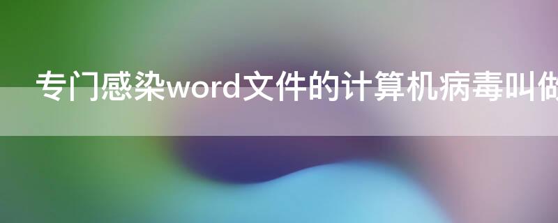 专门感染word文件的计算机病毒叫做