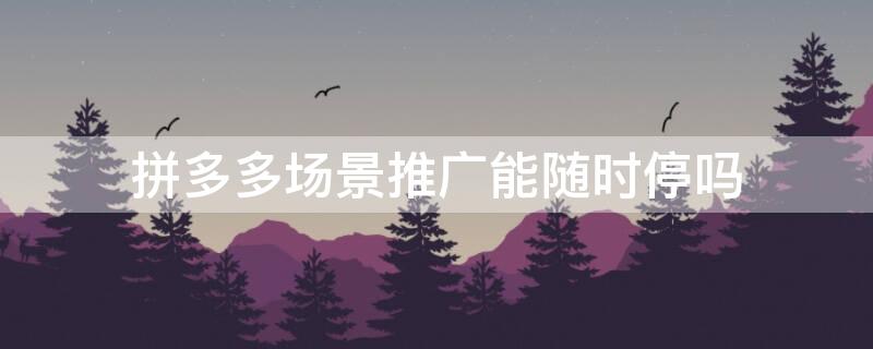 拼多多場(chǎng)景推廣能隨時(shí)停嗎