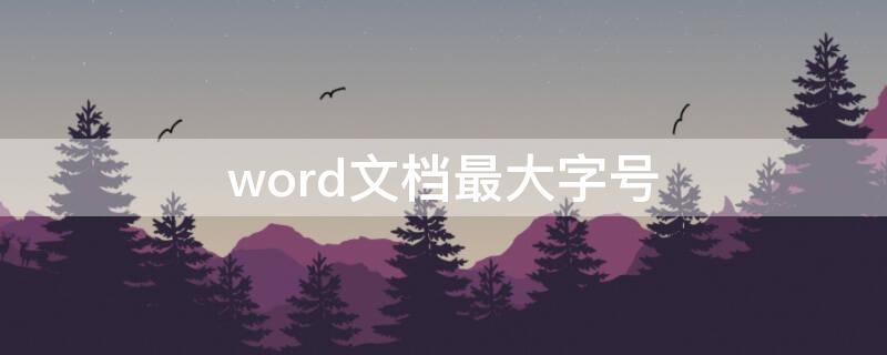 word文档最大字号